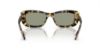 Picture of Swarovski Sunglasses SK6008