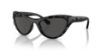 Picture of Swarovski Sunglasses SK6007