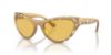 Picture of Swarovski Sunglasses SK6007