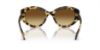 Picture of Swarovski Sunglasses SK6005