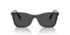 Picture of Swarovski Sunglasses SK6004