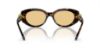 Picture of Swarovski Sunglasses SK6002