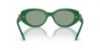 Picture of Swarovski Sunglasses SK6002