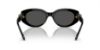 Picture of Swarovski Sunglasses SK6002F