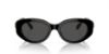 Picture of Swarovski Sunglasses SK6002F