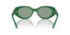 Picture of Swarovski Sunglasses SK6002F