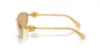 Picture of Swarovski Sunglasses SK7010