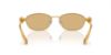 Picture of Swarovski Sunglasses SK7010