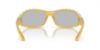 Picture of Swarovski Sunglasses SK6009