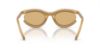 Picture of Swarovski Sunglasses SK6006