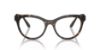 Picture of Swarovski Eyeglasses SK2025