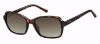Picture of Fossil Sunglasses 3095/S