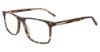 Picture of Jones New York Eyeglasses VJOM541