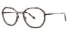 Picture of Leon Max Eyeglasses 4095