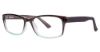 Picture of Modern Plastics II Eyeglasses Envied