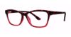 Picture of Modern Plastics II Eyeglasses Culture