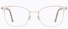Picture of OVVO Optics Eyeglasses 3988