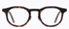 Picture of OVVO Optics Eyeglasses 6033