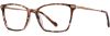Picture of Scott Harris Eyeglasses SH-956