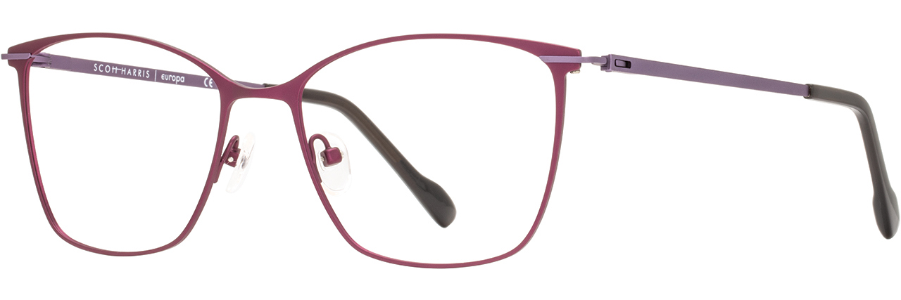 Picture of Scott Harris Eyeglasses SH-818