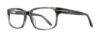 Picture of Serafina Eyewear Eyeglasses Drake