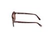 Picture of Tom Ford Sunglasses FT1176