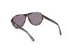 Picture of Tom Ford Sunglasses FT1080 QUINCY