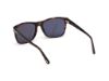 Picture of Tom Ford Sunglasses FT0698 GIULIO