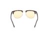 Picture of Tom Ford Sunglasses FT0248