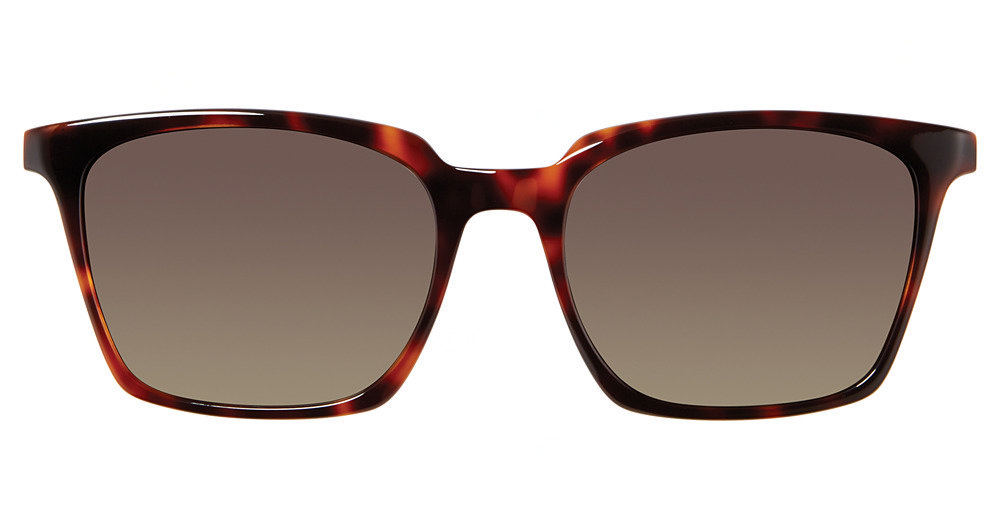 Picture of Vera Bradley Sunglasses Tate