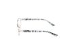 Picture of Viva Eyeglasses VV8001