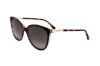 Picture of Jimmy Choo Sunglasses LISSA/S