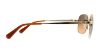 Picture of Coach Sunglasses HC7080