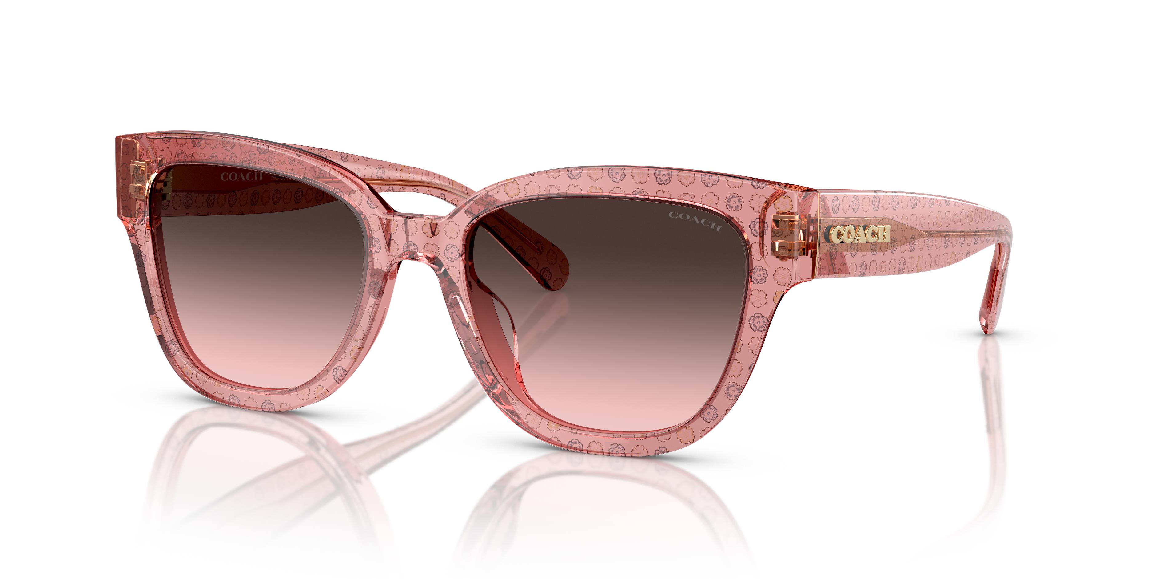Picture of Coach Sunglasses HC8379U
