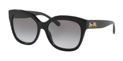 Picture of Coach Sunglasses HC8264F