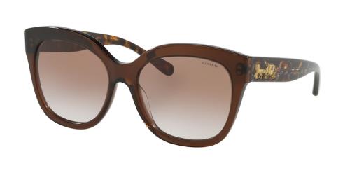 Picture of Coach Sunglasses HC8264F