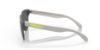 Picture of Oakley Sunglasses FROGSKINS LITE