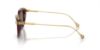 Picture of Swarovski Sunglasses SK6010