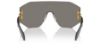 Picture of Versace Sunglasses VE2258