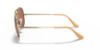 Picture of Ray Ban Sunglasses RB3689