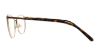 Picture of Swarovski Eyeglasses SK5222
