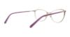 Picture of Swarovski Eyeglasses SK5222