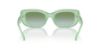 Picture of Coach Sunglasses HC8390U