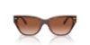 Picture of Coach Sunglasses HC8370U