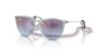 Picture of Ray Ban Sunglasses RJ9060S