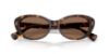 Picture of Ralph Sunglasses RA5350U