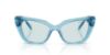 Picture of Swarovski Sunglasses SK6047