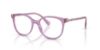 Picture of Swarovski Eyeglasses SK2002