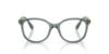 Picture of Swarovski Eyeglasses SK2002