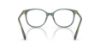 Picture of Swarovski Eyeglasses SK2002